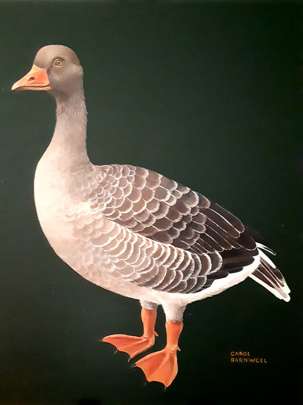 Goose painting<br />
