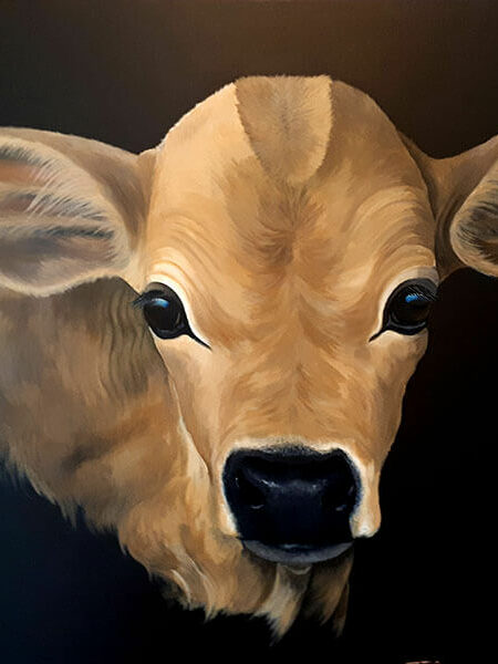 acrylic painting of a jersey calf with beautiful big eyes and wet nose
