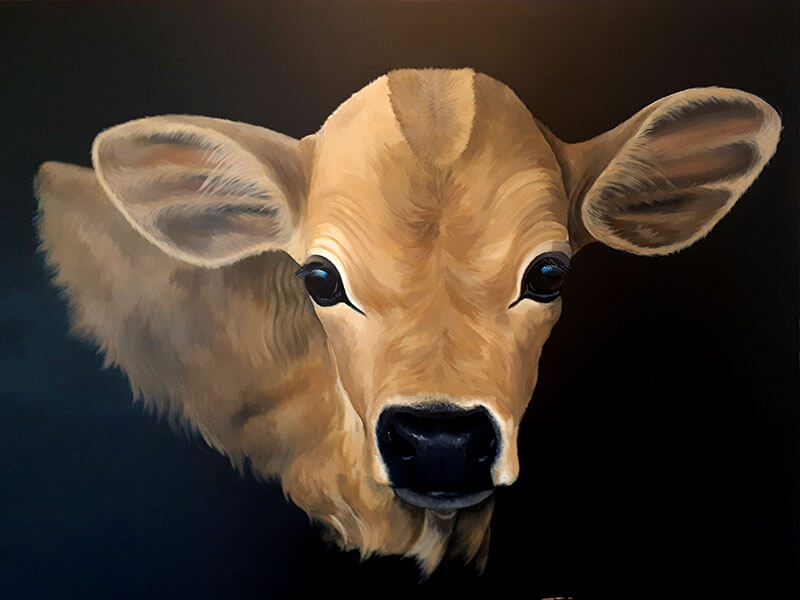Jersey cow painting<br />
