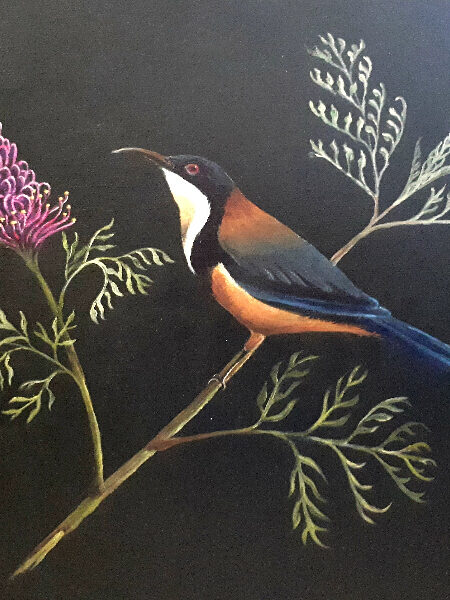 Painting of an Eastern Spine Bill feeding on a Grevillea flower.