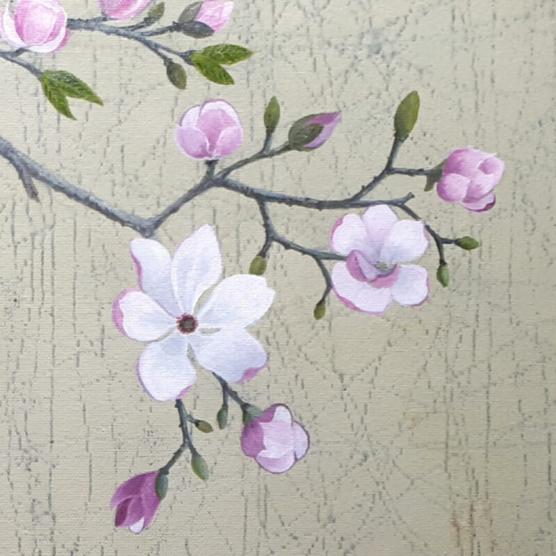 Close up of flowering magnolia branch