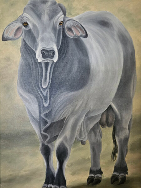 Painting of large grey Brahman Bull full size.